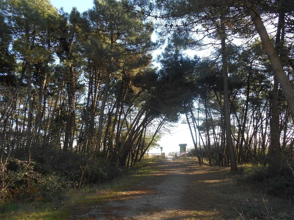 Residence Villa Marina Marina di Ravenna
